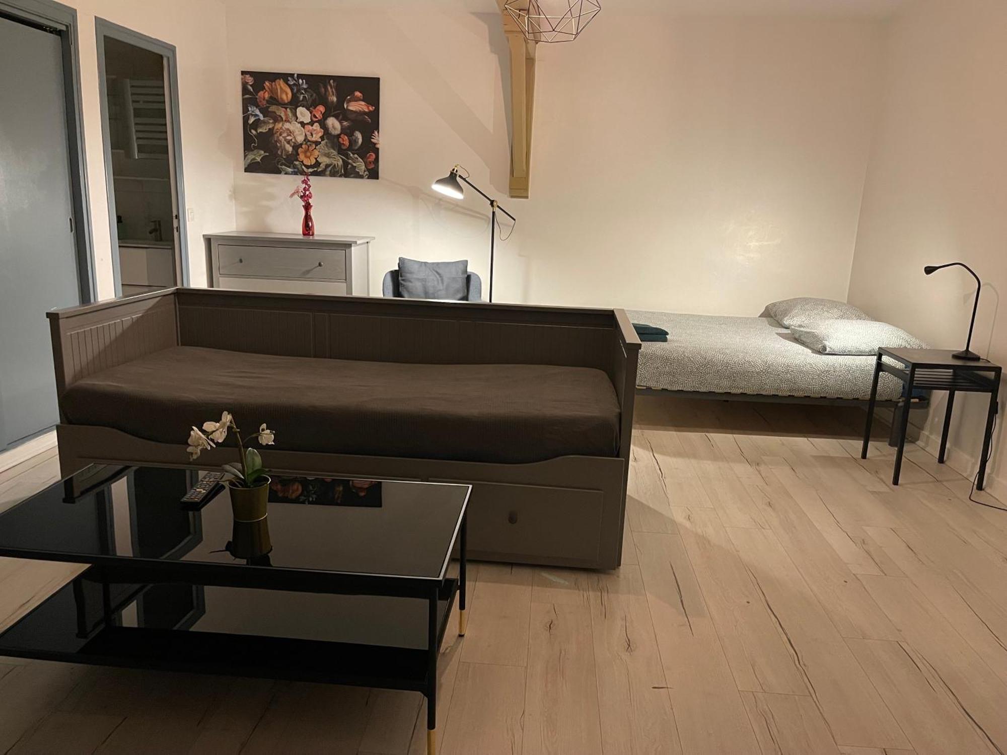 015 Chic & Cosy Studio 41M2 Hypercentre Wifi Smart Tv Netflix Saint-Etienne  Zewnętrze zdjęcie